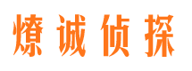 北屯镇市调查公司